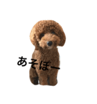 こて2（個別スタンプ：3）