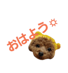 うちのワンコ•ﻌ•（個別スタンプ：2）
