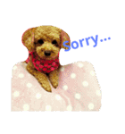 うちのワンコ•ﻌ•（個別スタンプ：6）