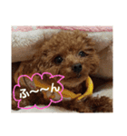 うちのワンコ•ﻌ•（個別スタンプ：26）