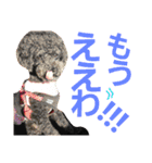 うちのワンコ•ﻌ•（個別スタンプ：28）
