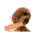 うちのワンコ•ﻌ•（個別スタンプ：29）
