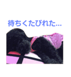 うちのワンコ•ﻌ•（個別スタンプ：32）
