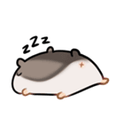 ハムスタータイム（個別スタンプ：3）