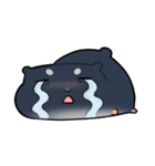 ハムスタータイム（個別スタンプ：5）