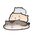 ハムスタータイム（個別スタンプ：16）