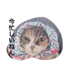 みけねこちゃーちゃとももこ（個別スタンプ：4）