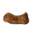 o家の猫さん（個別スタンプ：10）