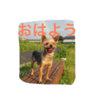 I'm Rock（個別スタンプ：5）