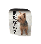 I'm Rock（個別スタンプ：6）