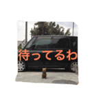 I'm Rock（個別スタンプ：7）