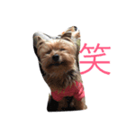 I'm Rock（個別スタンプ：9）