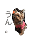 I'm Rock（個別スタンプ：10）