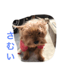 I'm Rock（個別スタンプ：12）