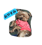I'm Rock（個別スタンプ：13）