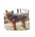 I'm Rock（個別スタンプ：15）