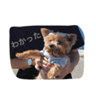 I'm Rock（個別スタンプ：17）