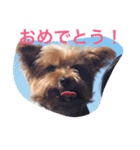 I'm Rock（個別スタンプ：18）