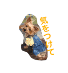 I'm Rock（個別スタンプ：20）