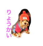 I'm Rock（個別スタンプ：22）