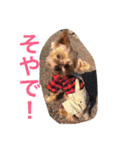 I'm Rock（個別スタンプ：24）