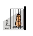 nutnut peanut（個別スタンプ：3）