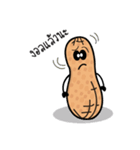 nutnut peanut（個別スタンプ：6）
