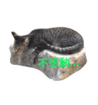 cat  and  rabbit（個別スタンプ：2）