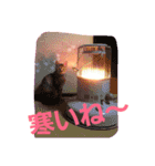 咲良の家族（個別スタンプ：8）