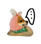 love pomeranian2（個別スタンプ：3）