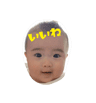 kota2（個別スタンプ：8）