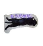 いえねこ。（個別スタンプ：3）