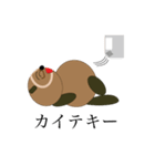 おっさんタヌキスタンプ（個別スタンプ：15）