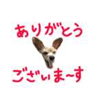 ぴざ＆ぱすた2（個別スタンプ：2）