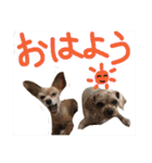 ぴざ＆ぱすた2（個別スタンプ：4）