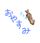 ぴざ＆ぱすた2（個別スタンプ：6）