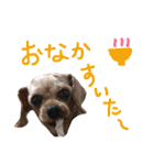 ぴざ＆ぱすた2（個別スタンプ：11）