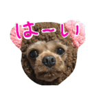 ぴざ＆ぱすた2（個別スタンプ：18）