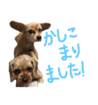 ぴざ＆ぱすた2（個別スタンプ：22）