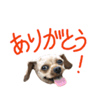 ぴざ＆ぱすた2（個別スタンプ：30）