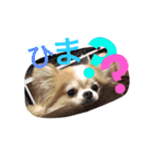 まーぶるくん（個別スタンプ：3）