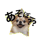 まーぶるくん（個別スタンプ：4）
