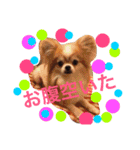 まーぶるくん（個別スタンプ：5）