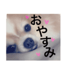 まーぶるくん（個別スタンプ：6）