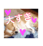 まーぶるくん（個別スタンプ：10）