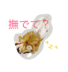 まーぶるくん（個別スタンプ：12）