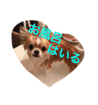 まーぶるくん（個別スタンプ：13）