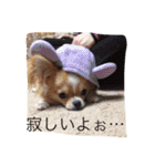 まーぶるくん（個別スタンプ：16）