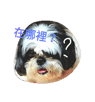 Mao＆Bo（個別スタンプ：1）
