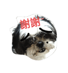 Mao＆Bo（個別スタンプ：4）